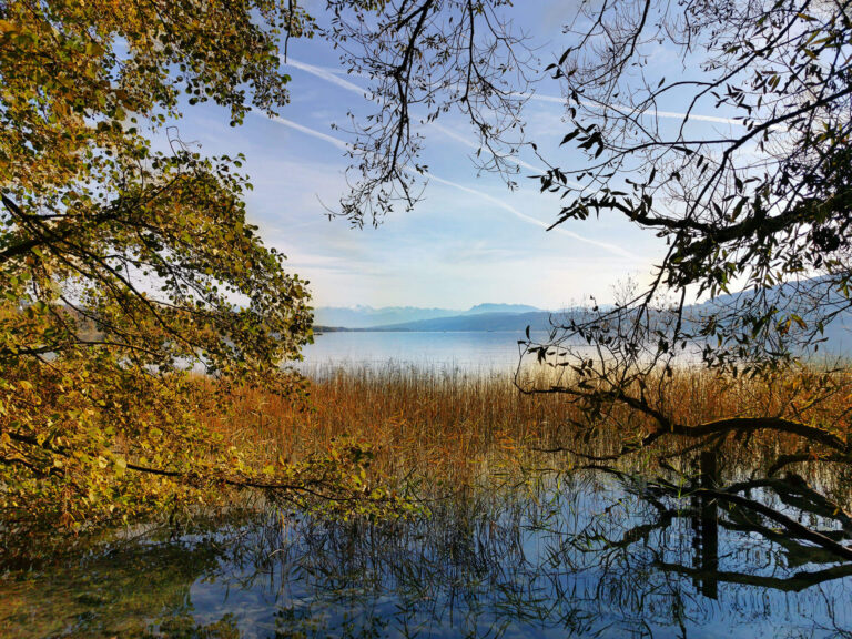 Herbstnewsletter 2024